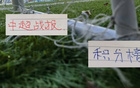 第26轮除领头羊跟副班长无悬念 争二异常激烈 北京国安 山东 海港都有可能