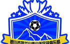 深℃丨银川又一个足球俱乐部要没了！