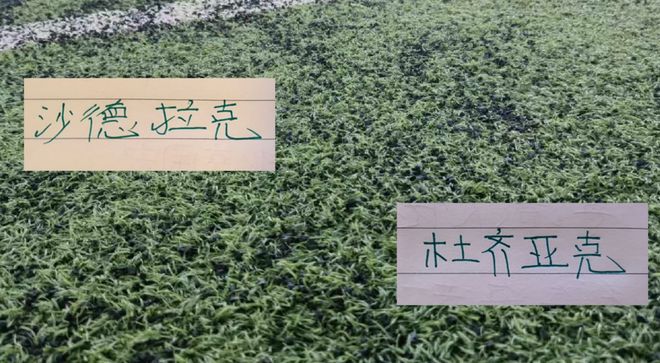 北京国安新买“跑车”沙德拉克 30分钟就坏了 网友说 没事只是掉块漆 补补还能开